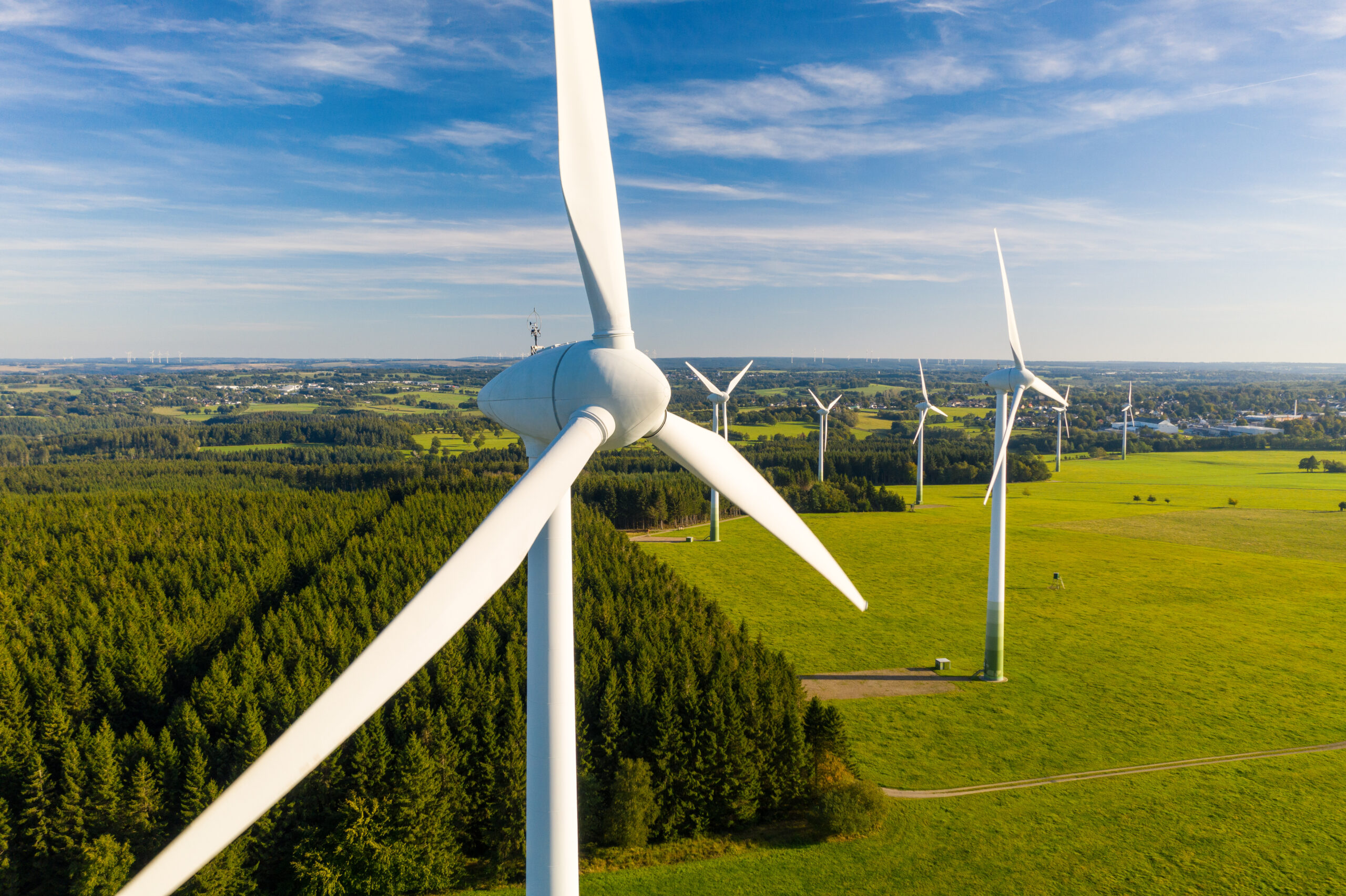 wind turbines in a field